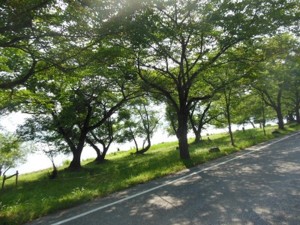 f:id:kenchi555:20130814095842j:image