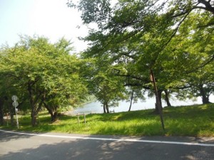 f:id:kenchi555:20130814095843j:image