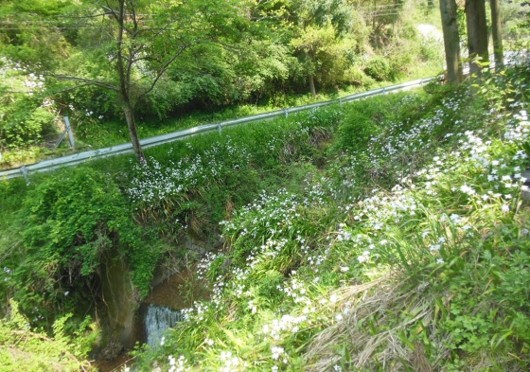 f:id:kenchi555:20140503170131j:image