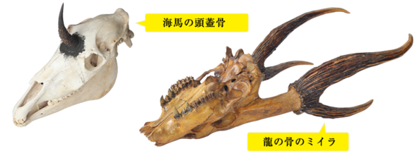 f:id:kenchi555:20141027190651p:image