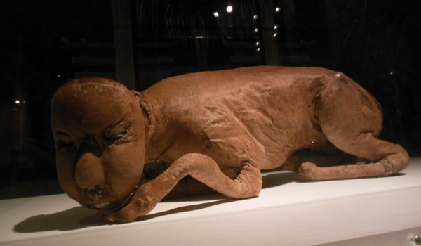 f:id:kenchi555:20141027193546j:image