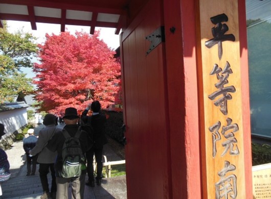 f:id:kenchi555:20141124053618j:image