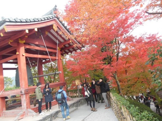 f:id:kenchi555:20141124053745j:image