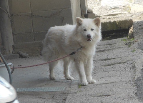 f:id:kenchi555:20150613154337j:image