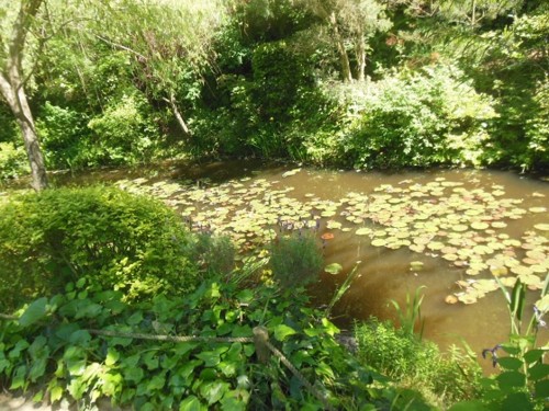 f:id:kenchi555:20150613184743j:image