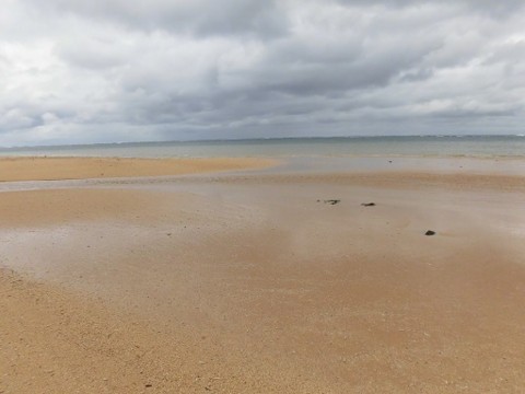 f:id:kenchi555:20160131191728j:image