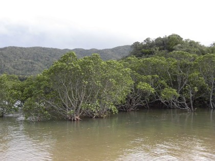 f:id:kenchi555:20160203210216j:image