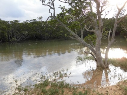 f:id:kenchi555:20160203210217j:image