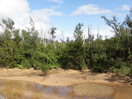 f:id:kenchi555:20160203211732j:image