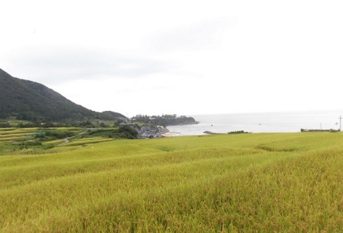 f:id:kenchi555:20160827222526j:image