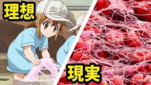 f:id:kenchi555:20180930185949j:plain