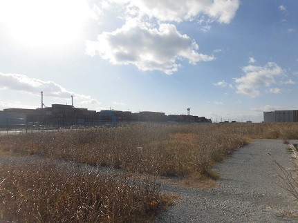 f:id:kenchi555:20181224104133j:plain