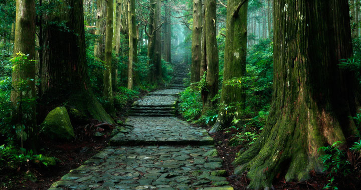 f:id:kenchi555:20190101085835j:plain