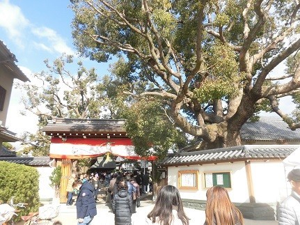 f:id:kenchi555:20190102114848j:plain