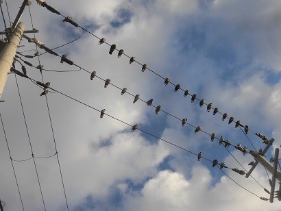 f:id:kenchi555:20190102155620j:plain