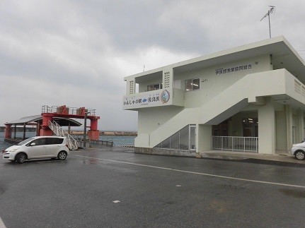 f:id:kenchi555:20190126120314j:plain