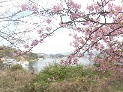 f:id:kenchi555:20190302105716j:plain