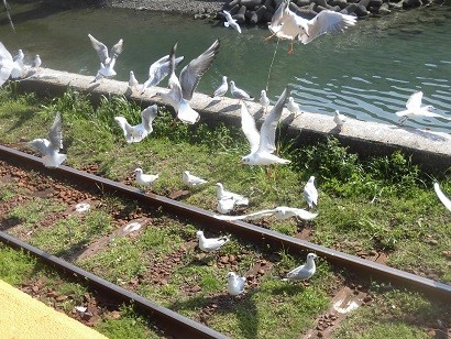 f:id:kenchi555:20190302125459j:plain