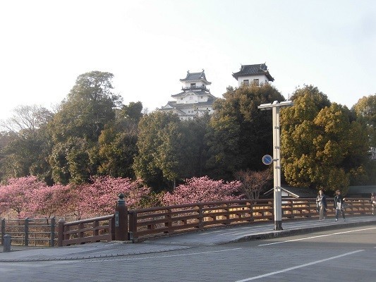 f:id:kenchi555:20190302160121j:plain