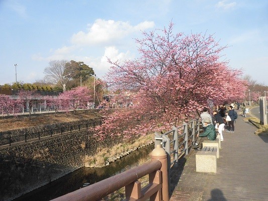 f:id:kenchi555:20190302160142j:plain