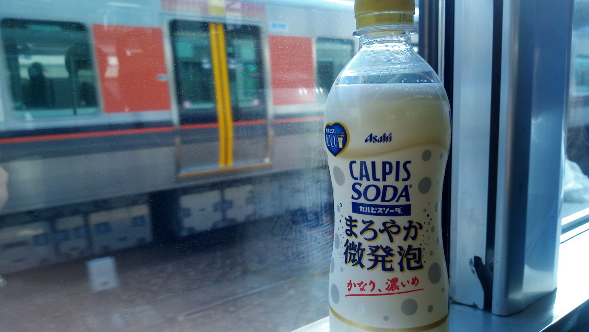 f:id:kenchi555:20190519072801j:plain f:id:kenchi555:20190519072801j:plain