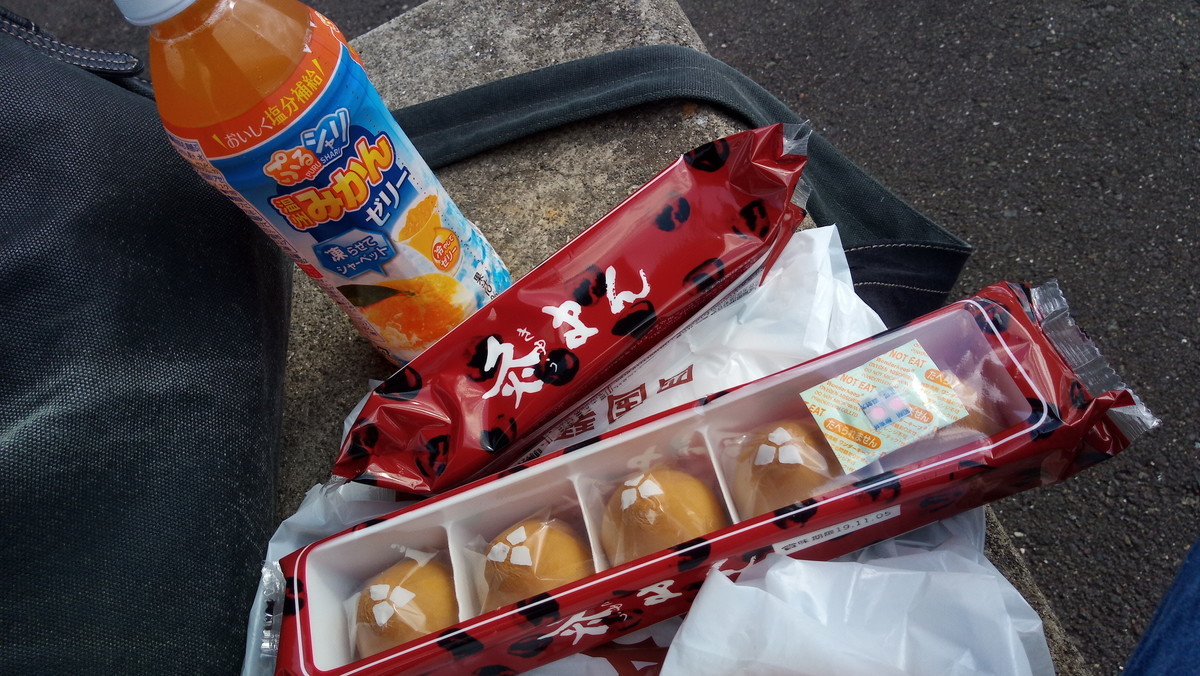 f:id:kenchi555:20191006133059j:plain