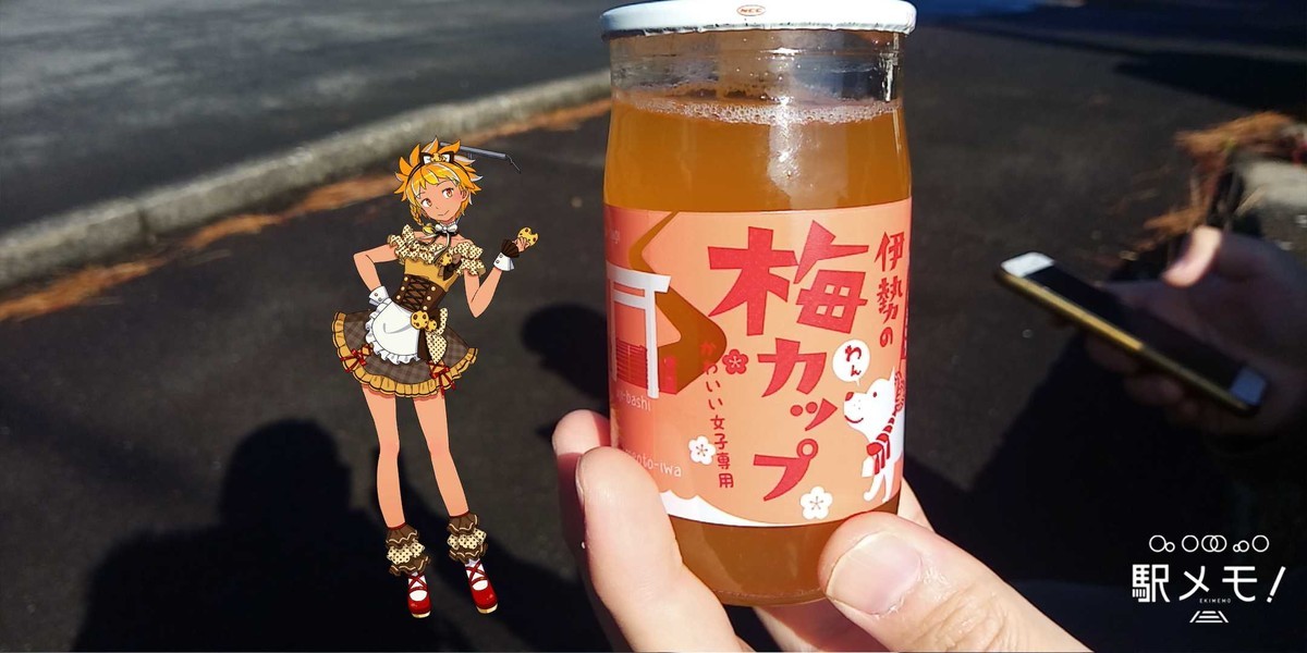 f:id:kenchi555:20191123101438j:plain