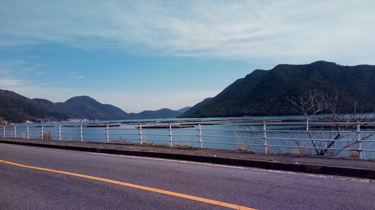 f:id:kenchi555:20200315090721j:plain