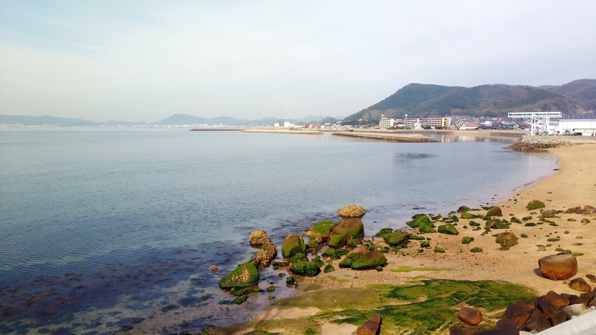 f:id:kenchi555:20200315091027j:plain