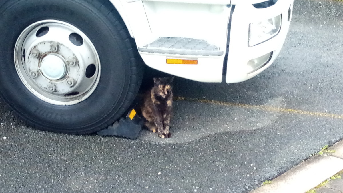 f:id:kenchi555:20200913063315j:plain