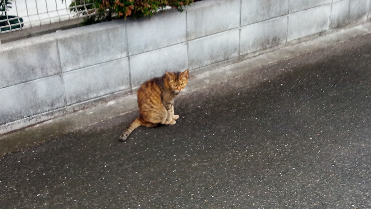 f:id:kenchi555:20200913070159j:plain