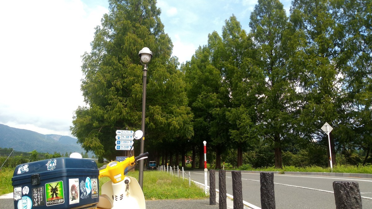 f:id:kenchi555:20200920110948j:plain