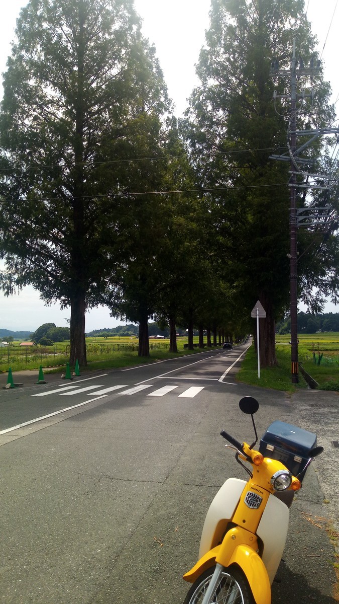 f:id:kenchi555:20200920122026j:plain