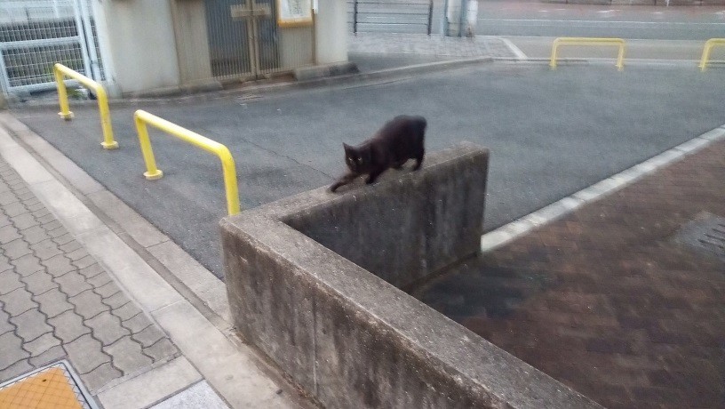 f:id:kenchi555:20201026171907j:plain