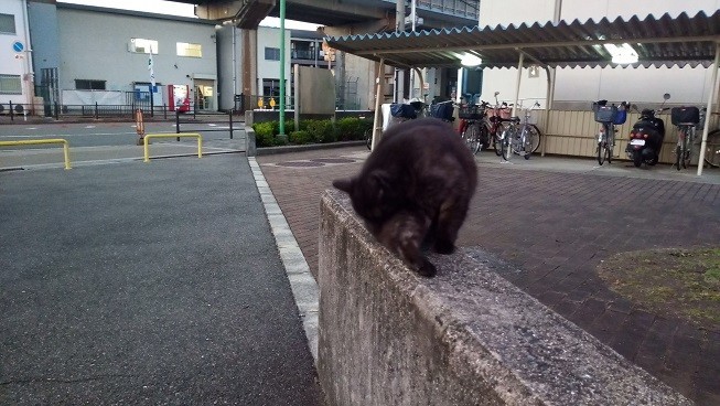 f:id:kenchi555:20201026171936j:plain