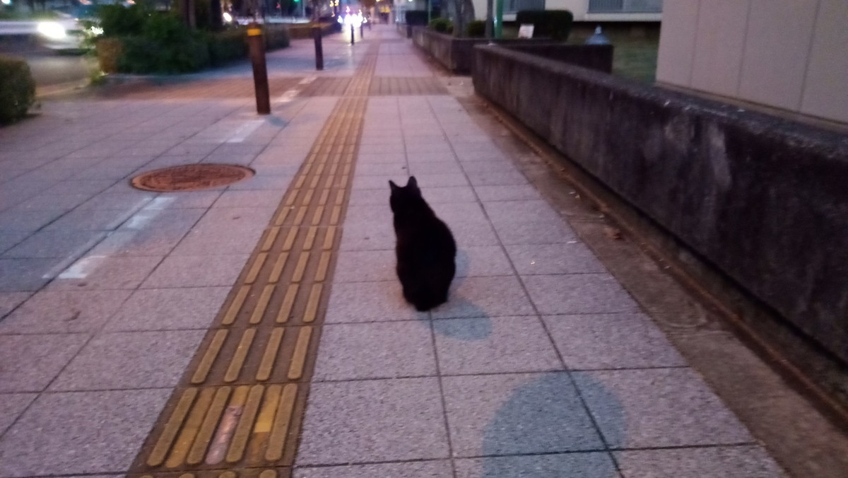 f:id:kenchi555:20201030060149j:plain