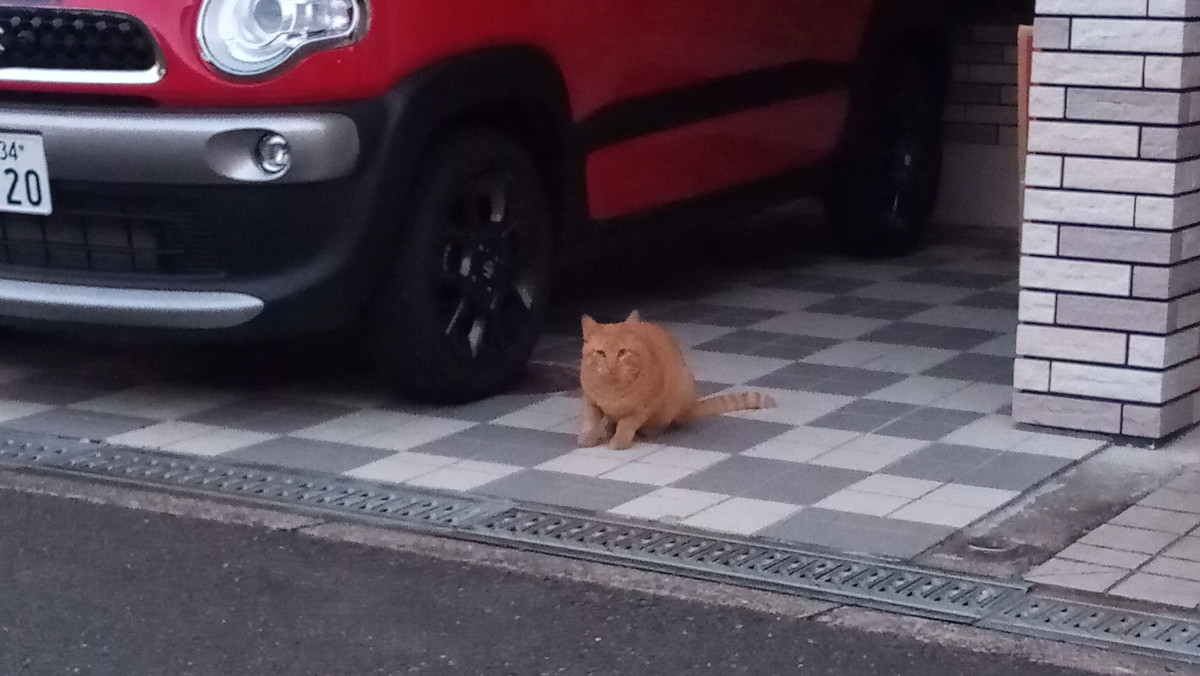 f:id:kenchi555:20201031061246j:plain