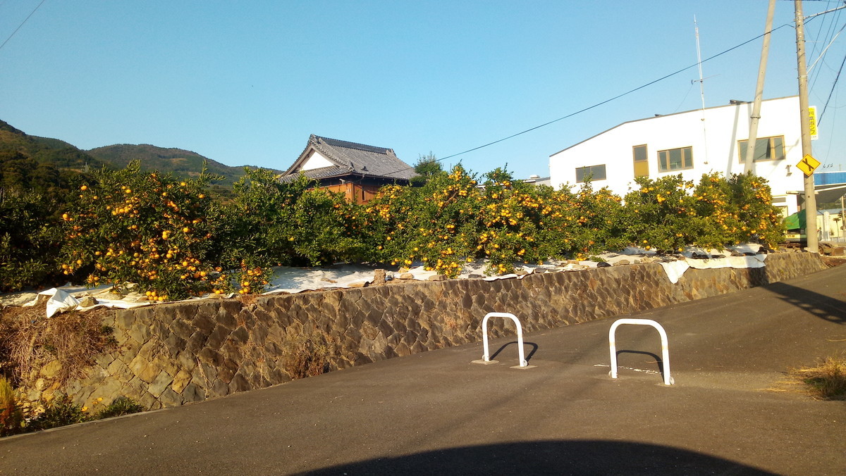 f:id:kenchi555:20201031152846j:plain