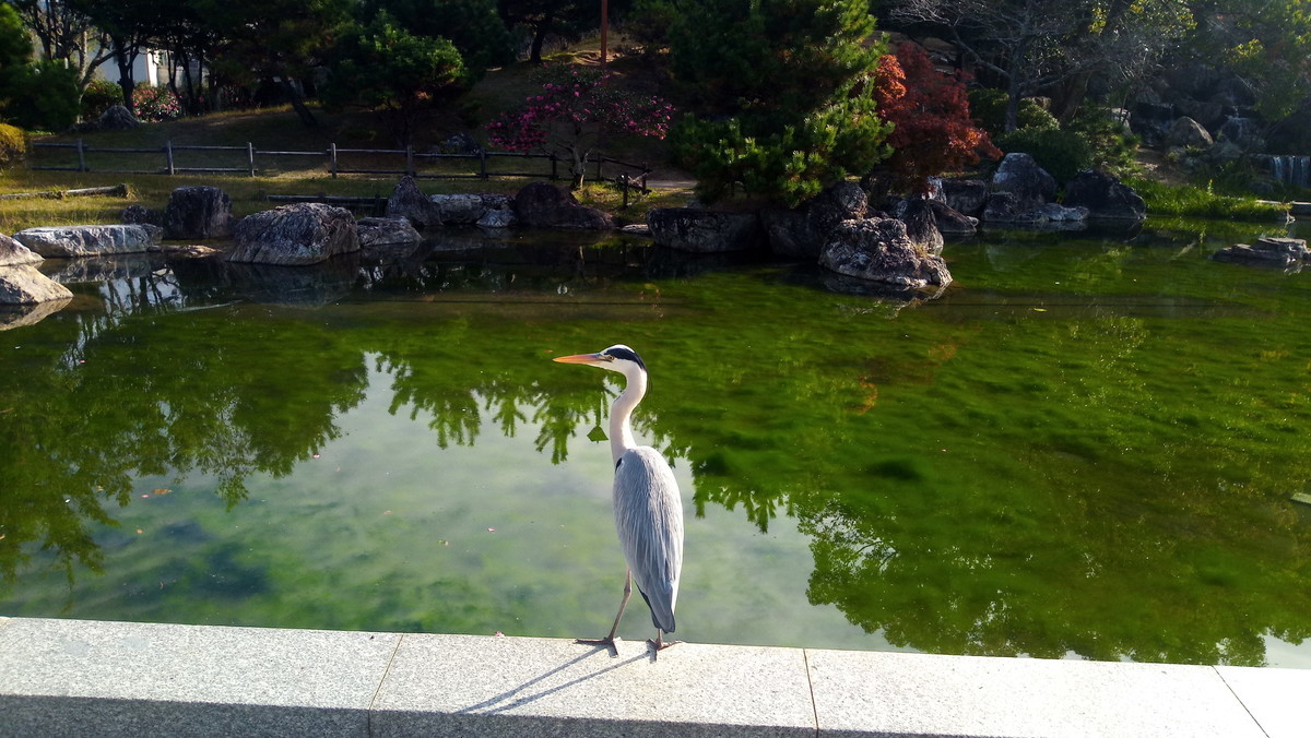 f:id:kenchi555:20201129095353j:plain