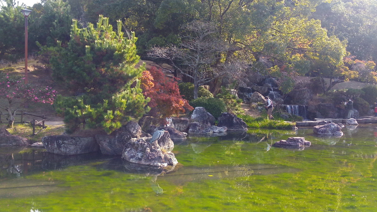 f:id:kenchi555:20201129095412j:plain