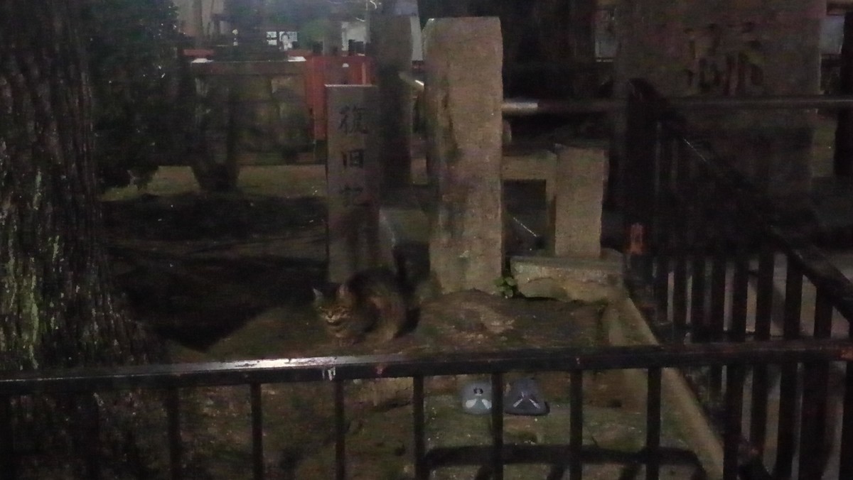 f:id:kenchi555:20210130011750j:plain