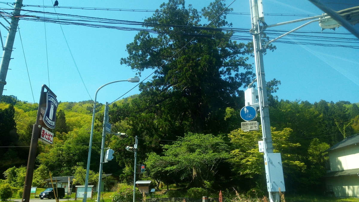 f:id:kenchi555:20210503093507j:plain