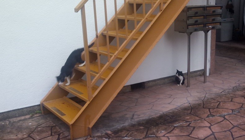 f:id:kenchi555:20210707070548j:plain