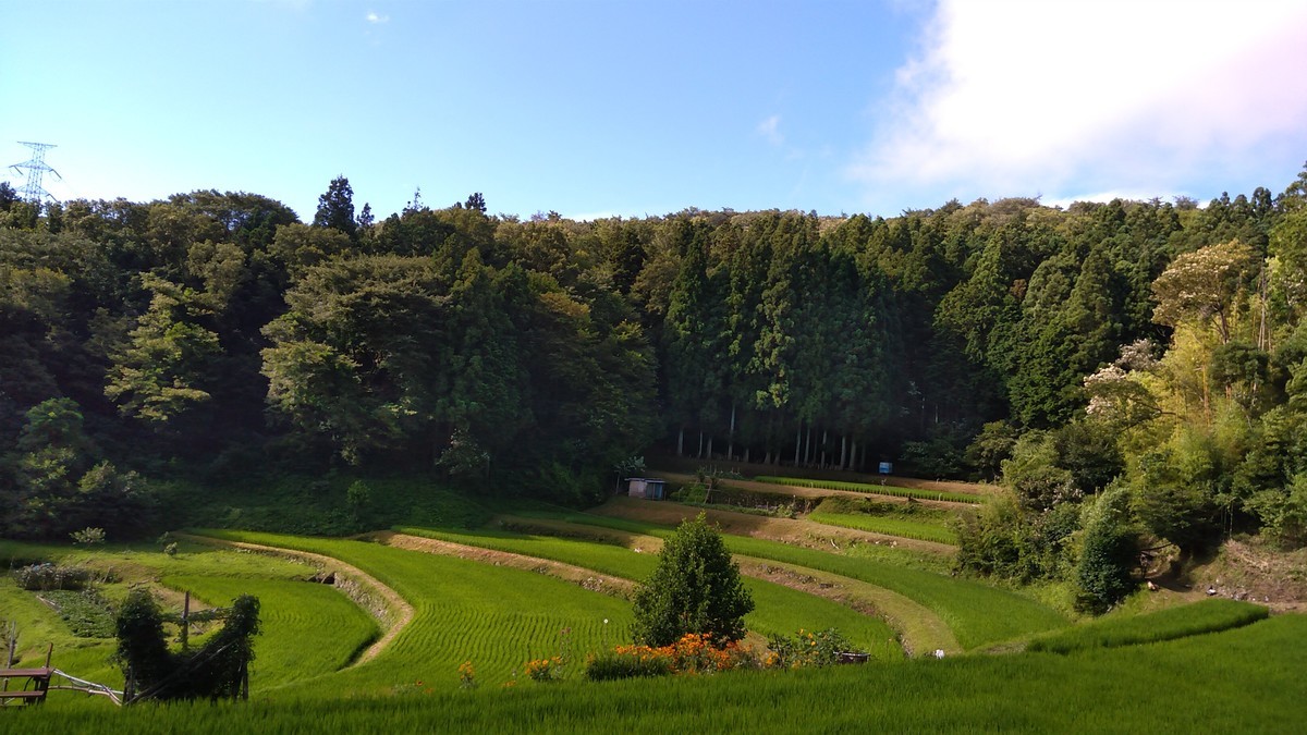 f:id:kenchi555:20210718080520j:plain