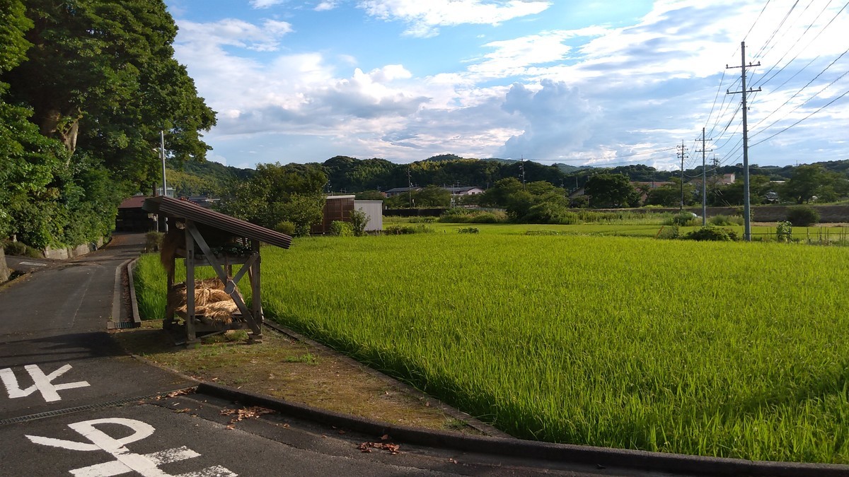 f:id:kenchi555:20210807172712j:plain