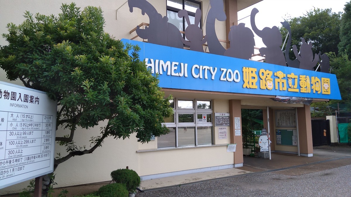 f:id:kenchi555:20210809140812j:plain