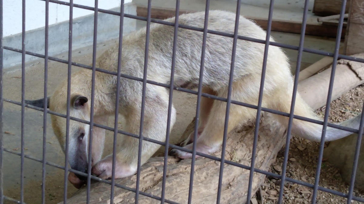 f:id:kenchi555:20210809142000j:plain