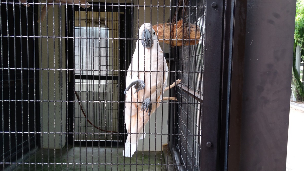 f:id:kenchi555:20210809145448j:plain