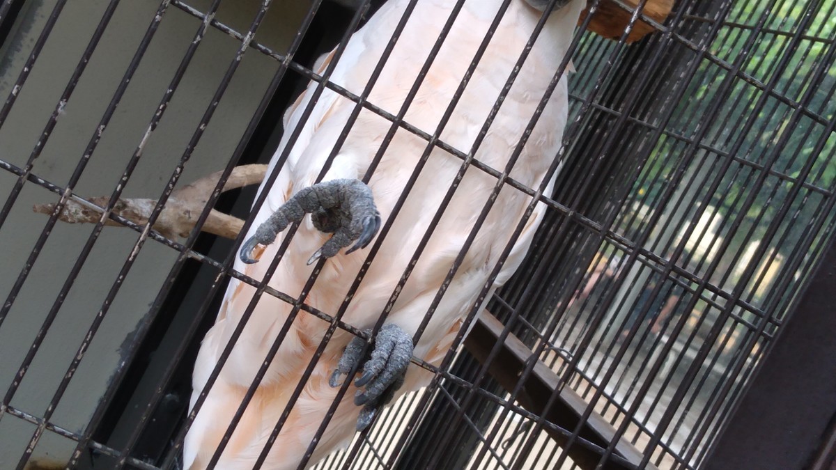 f:id:kenchi555:20210809145505j:plain