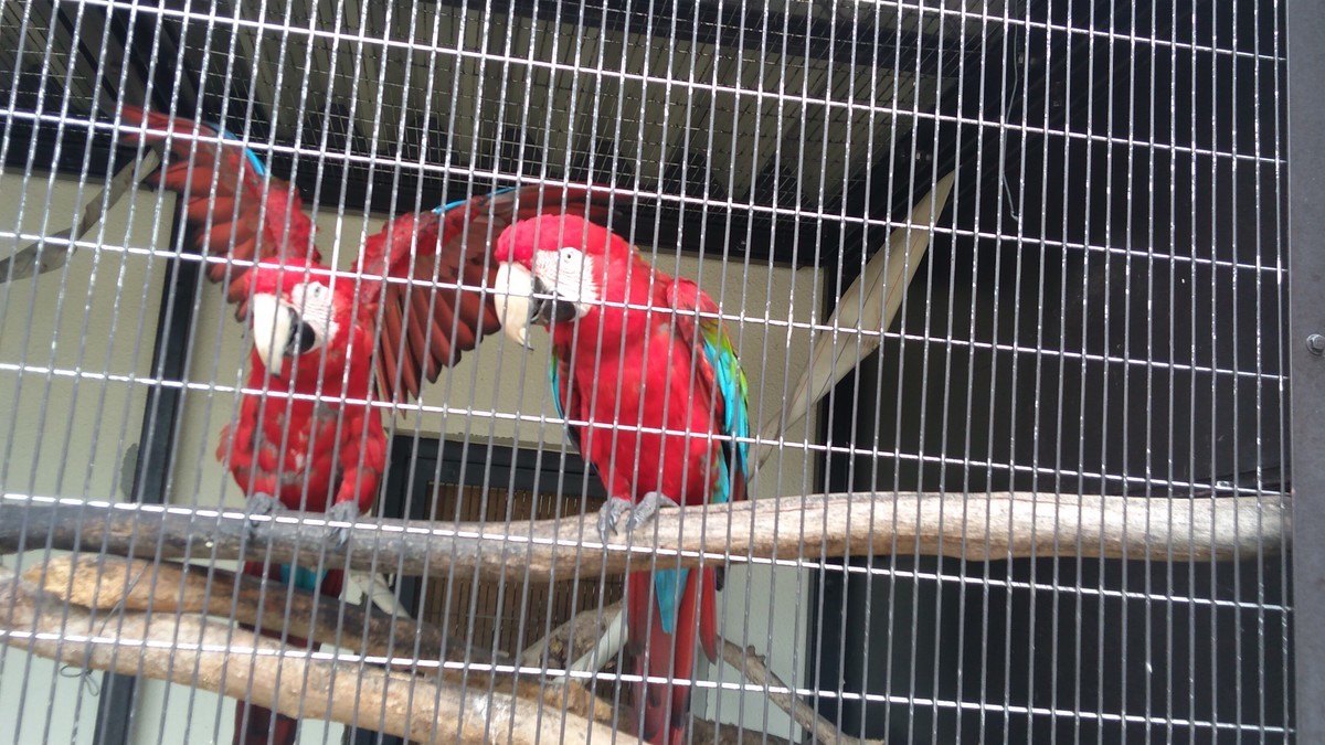 f:id:kenchi555:20210809150058j:plain